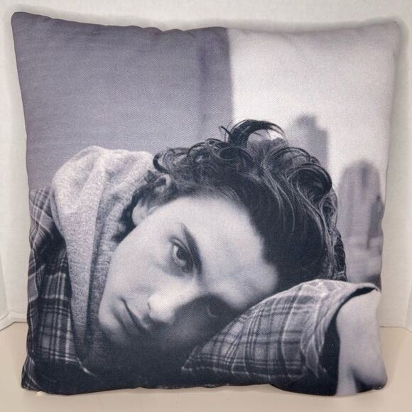 Timothée Chalamet Fan Bundle Decorative Pillows w/ Book Chalamania (Bx 21) - Picture 4 of 8